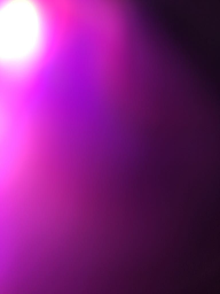 Zack and Miri Make a Porno