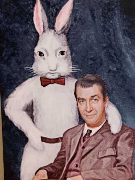 Harvey DVD movie collectible [Barcode 5050582490510] - Main Image 3