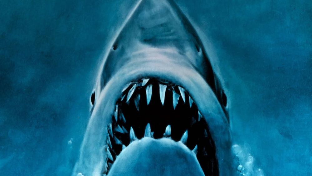 Jaws DVD movie collectible [Barcode 5050582347838] - Main Image 4