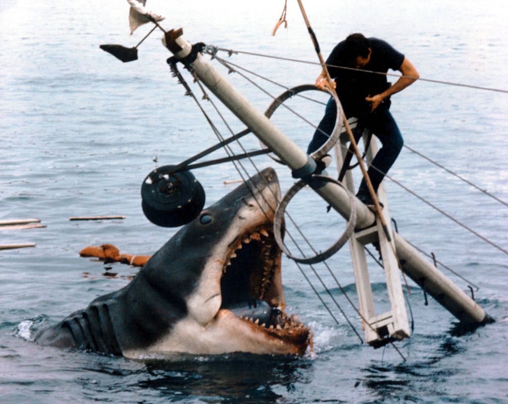 Jaws DVD movie collectible - Main Image 2