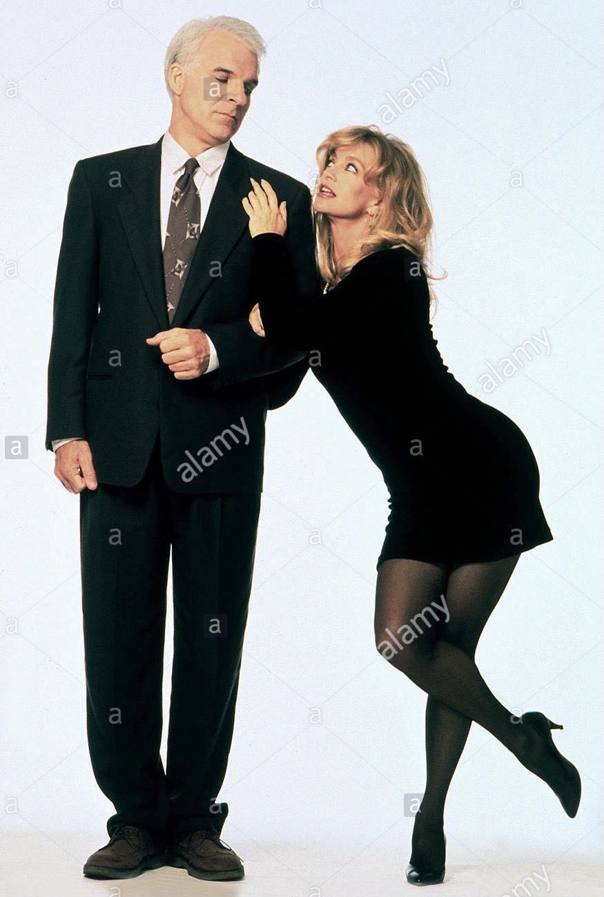 Housesitter Digital Copy movie collectible [Barcode 025192031922] - Main Image 4