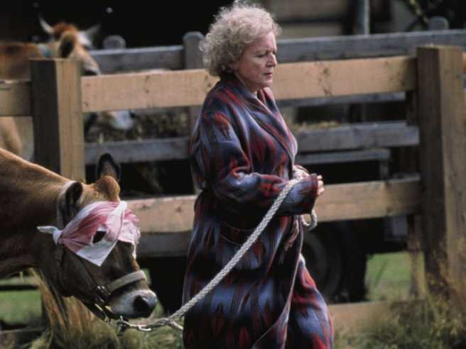 Lake Placid DVD movie collectible [Barcode 024543000020] - Main Image 3