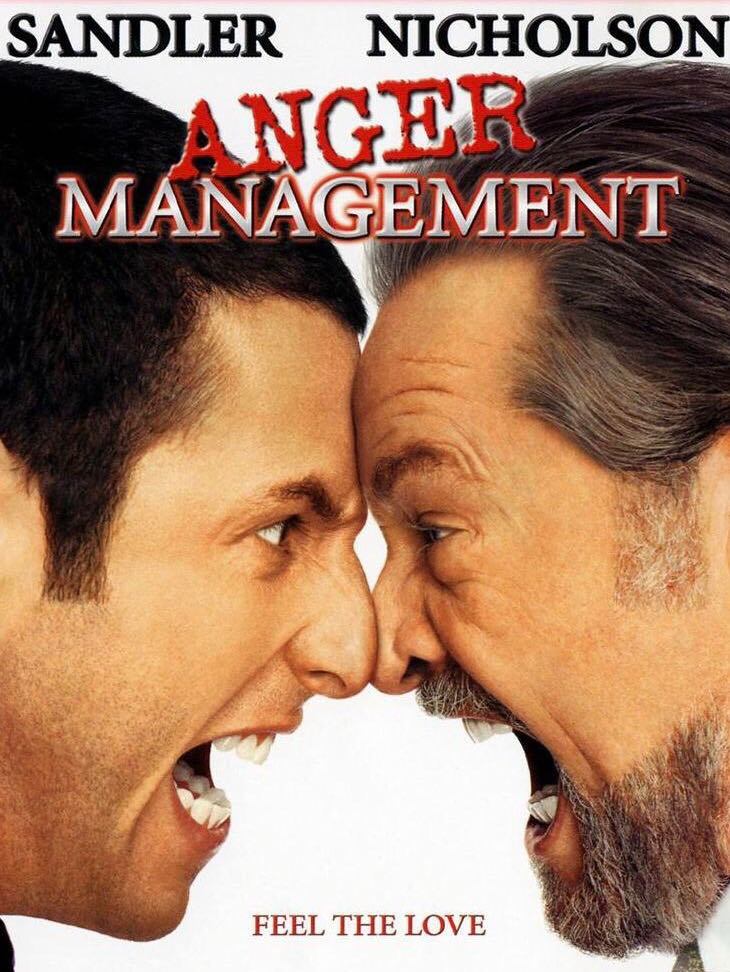 Anger Management DVD movie collectible [Barcode 5050630406937] - Main Image 2