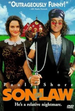 Son in Law DVD movie collectible - Main Image 1