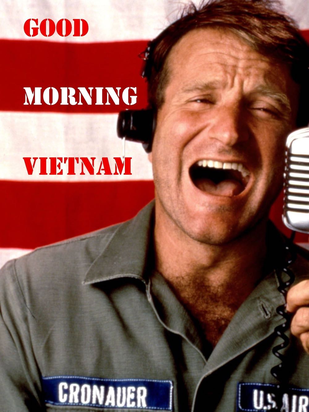 Good Morning Vietnam.   I17 DVD movie collectible [Barcode 786936239928] - Main Image 3