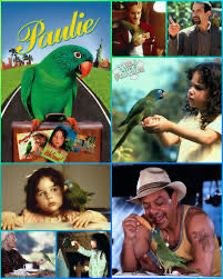 Paulie VHS movie collectible [Barcode 096898358835] - Main Image 3