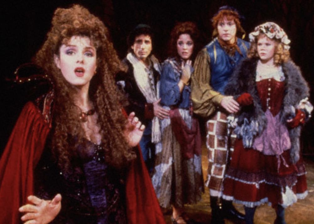 Into the Woods DVD movie collectible [Barcode 014381002058] - Main Image 4