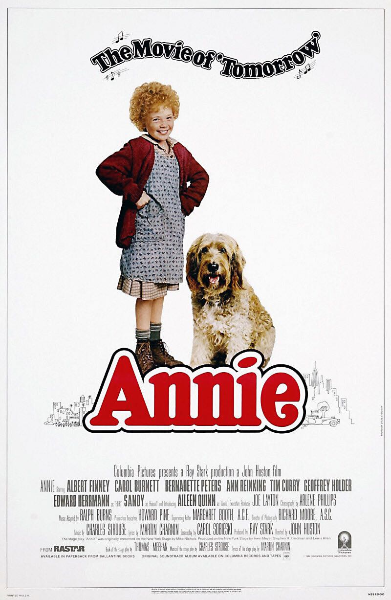 Annie DVD movie collectible [Barcode 043396095328] - Main Image 3