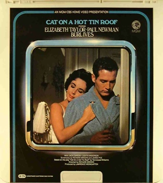 Storm Of The Century