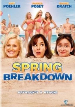 Spring Breakdown DVD movie collectible [Barcode 8539113894] - Main Image 1