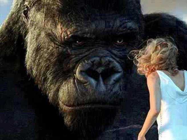 King Kong (Extended Edition) DVD movie collectible [Barcode 025192668920] - Main Image 3