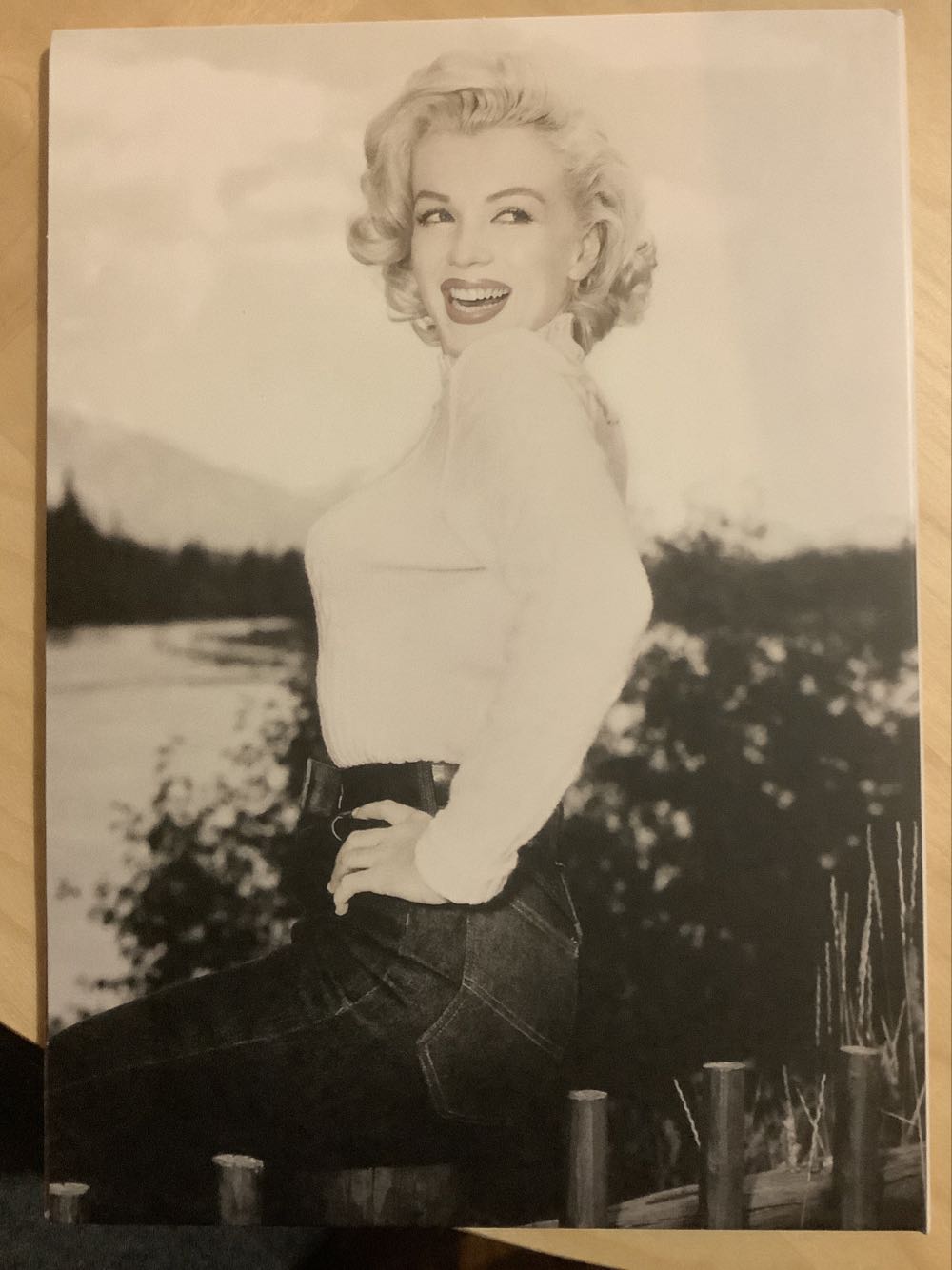 The Misfits DVD movie collectible [Barcode 027616862938] - Main Image 3