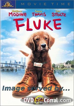 Riding in Cars with Boys