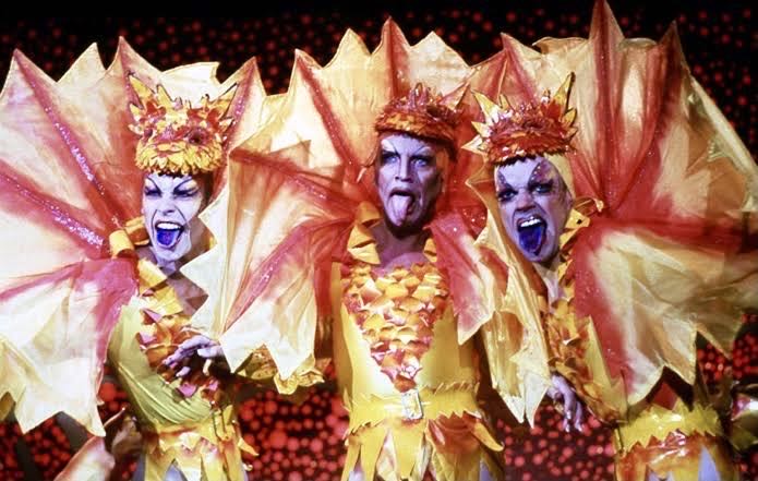 Ace Ventura Pet Detective DVD movie collectible [Barcode 9325336008263] - Main Image 4