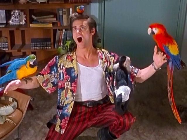 Jim Carrey Ace Ventura1 Pet Detective Blu-ray movie collectible [Barcode 9325336770856] - Main Image 2