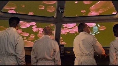 Fantastic Voyage: 20th Century Fox Studio Classics - 75 Years DVD movie collectible [Barcode 024543440437] - Main Image 6