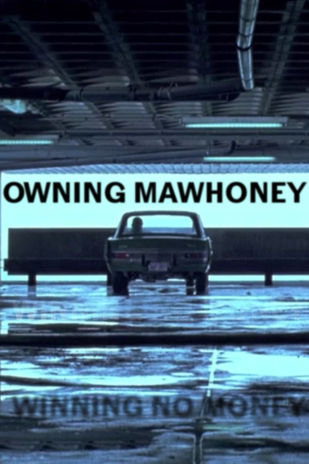 Owning Mahowny DVD movie collectible [Barcode 043396002180] - Main Image 3