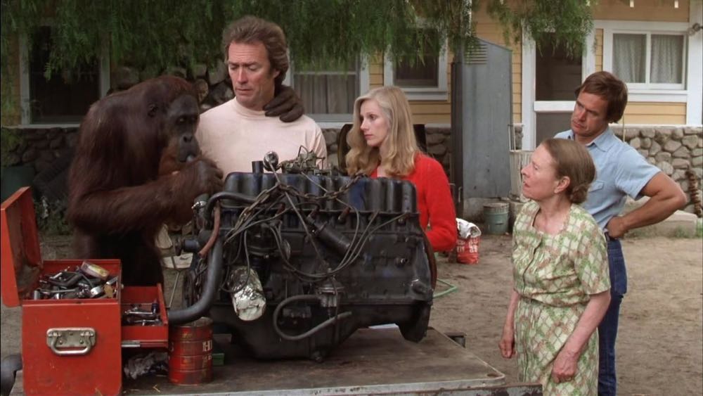 Any Which Way You Can Blu-ray movie collectible [Barcode 076476031442] - Main Image 3