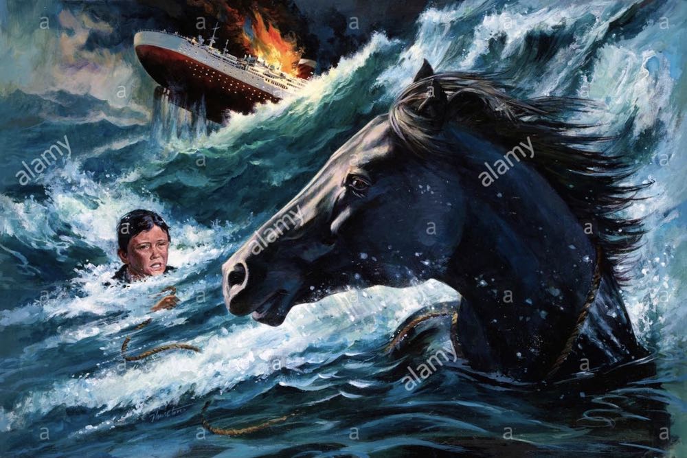 The Black Stallion DVD movie collectible [Barcode 715515151214] - Main Image 3