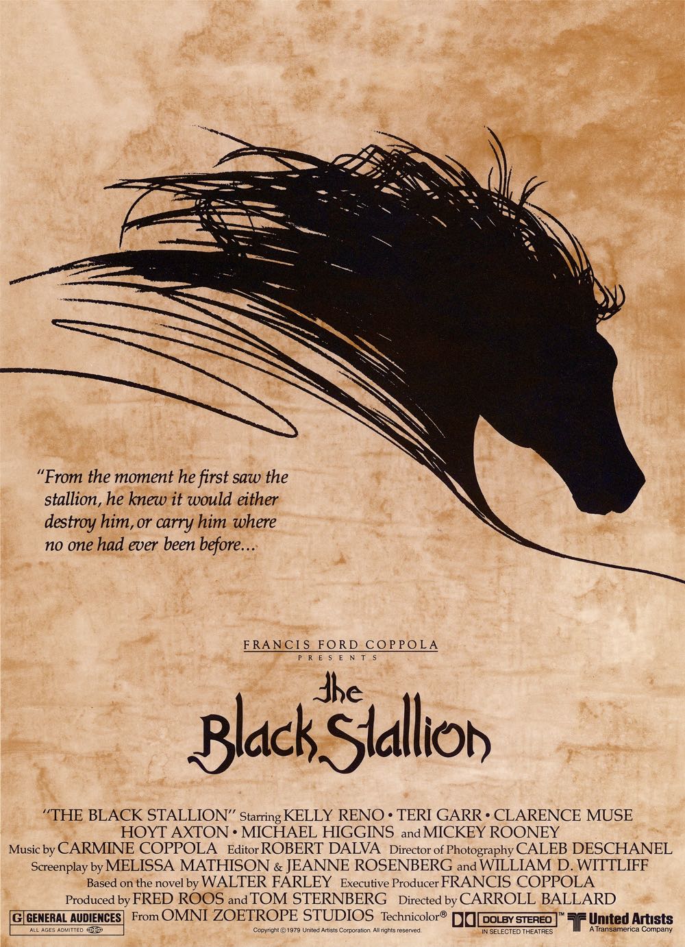 The Black Stallion DVD movie collectible [Barcode 715515151214] - Main Image 4