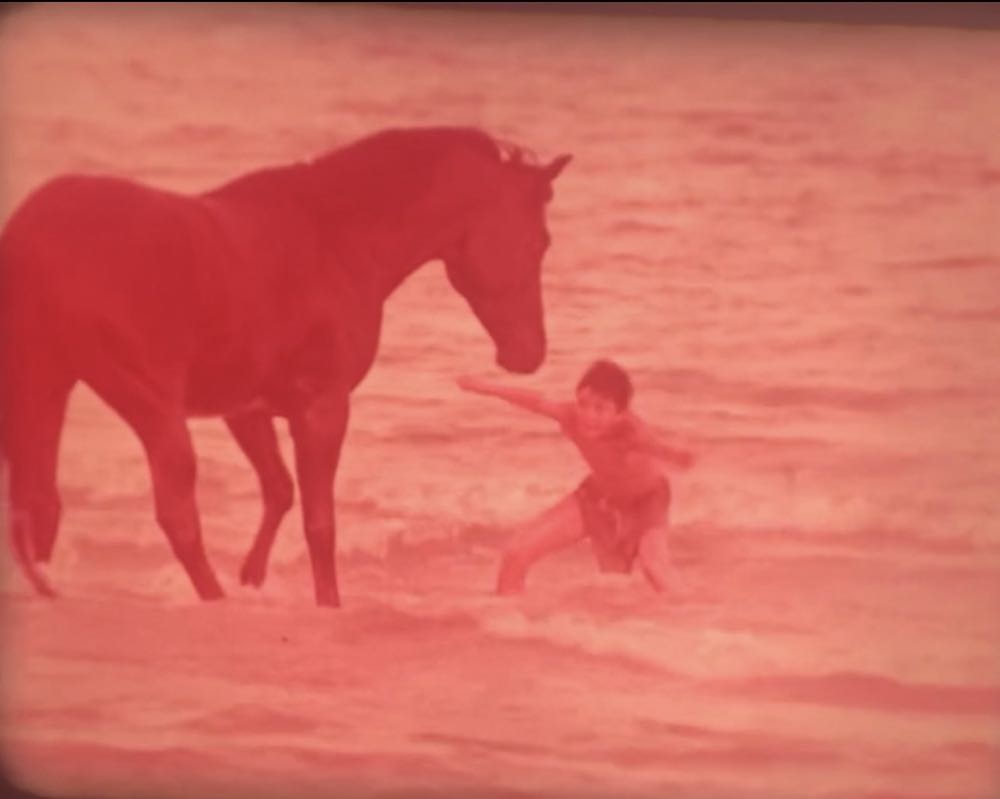 The Black Stallion 16mm movie collectible [Barcode 883904282990] - Main Image 3