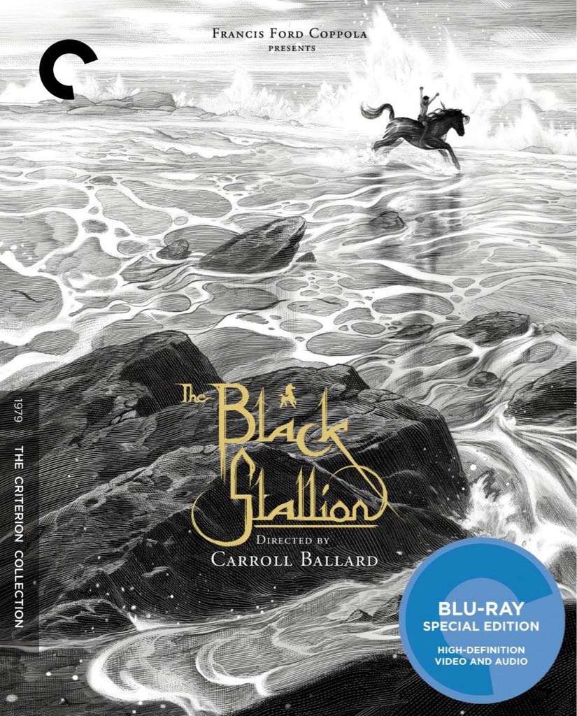 The Black Stallion Blu-ray movie collectible - Main Image 1