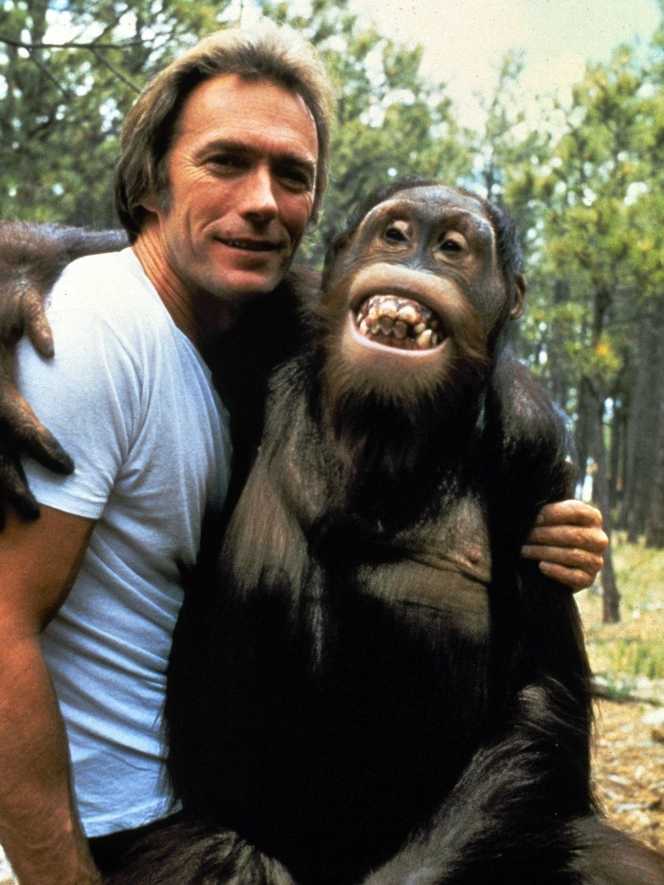 Every Which Way But Loose Blu-ray movie collectible [Barcode 883929033492] - Main Image 3