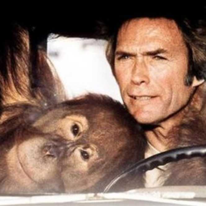 Every Which Way But Loose Blu-ray movie collectible [Barcode 883929033492] - Main Image 4