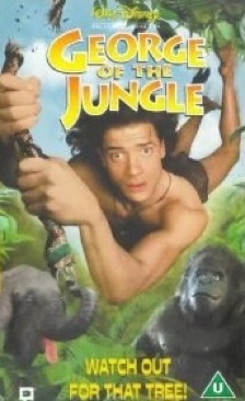 Miracle in the Woods