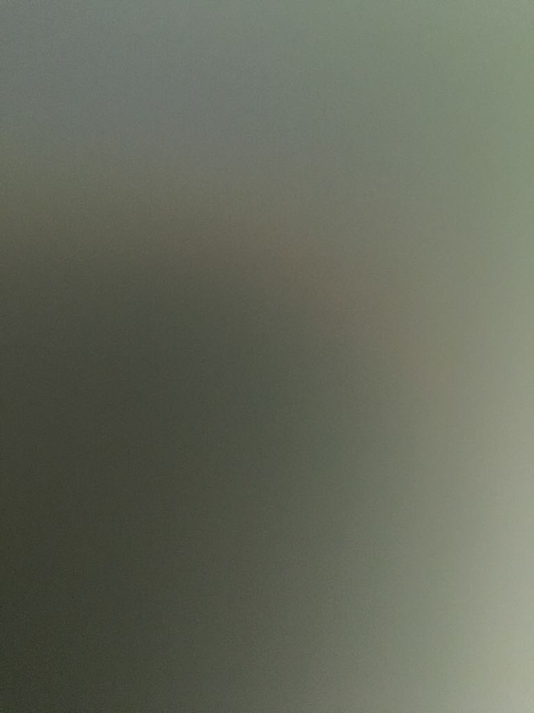 Schwarzenegger Predator