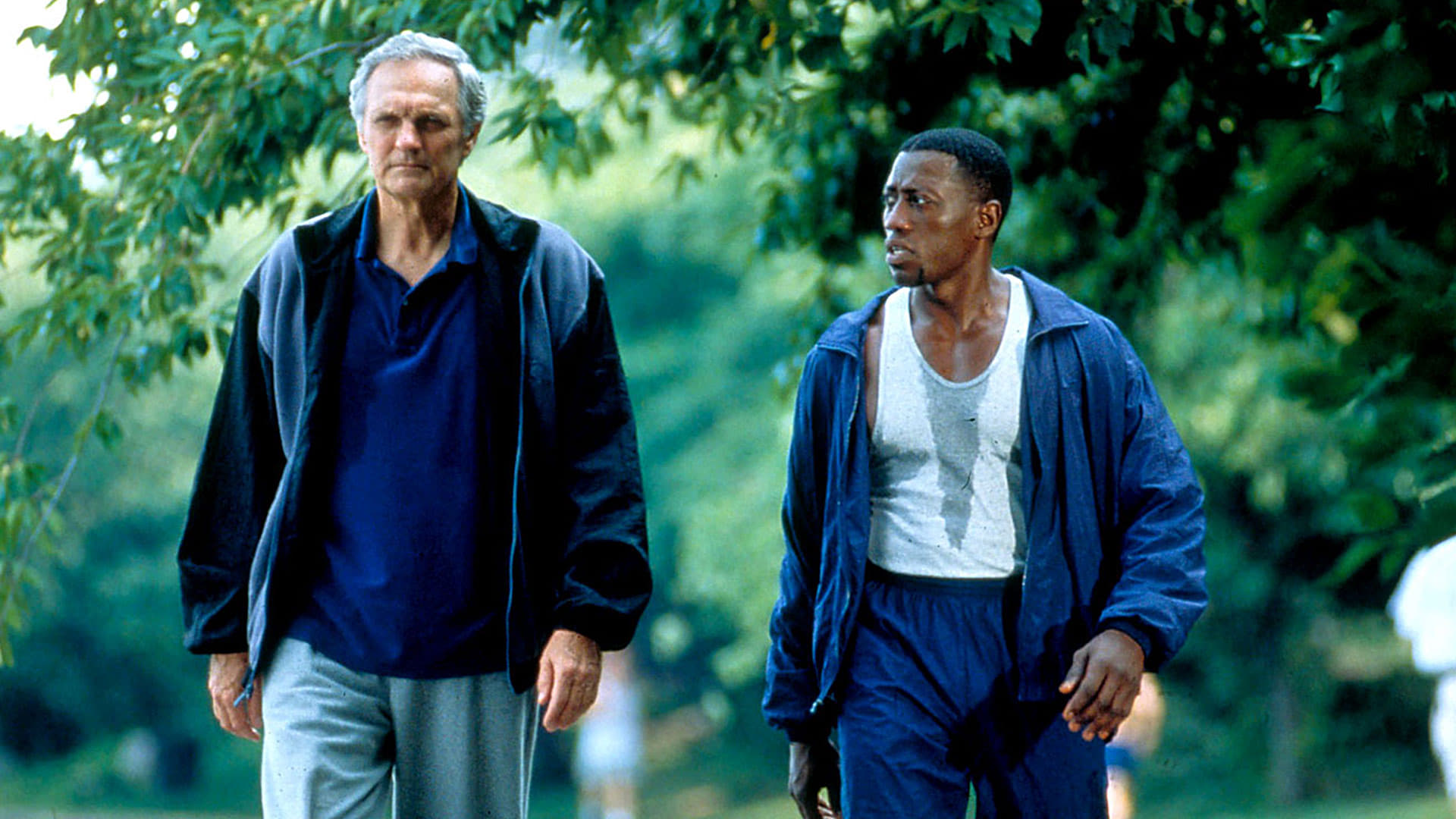 Murder At 1600 DVD movie collectible [Barcode 085391491521] - Main Image 4