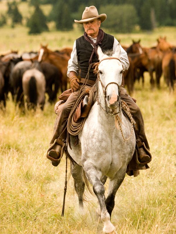 Broken Trail DVD movie collectible [Barcode 043396157170] - Main Image 3