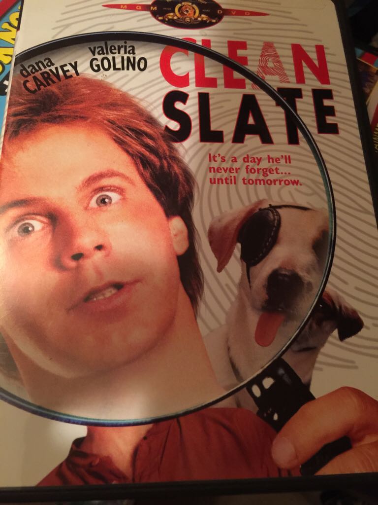 My Favorite Brunette