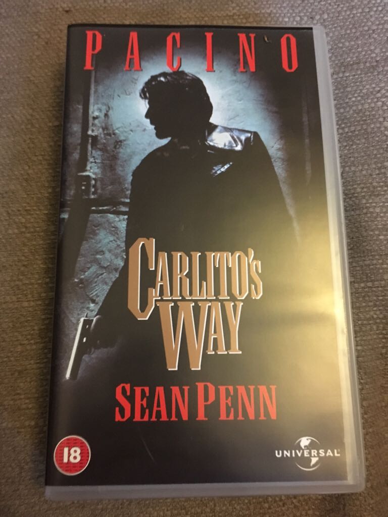 Young Black Stallion