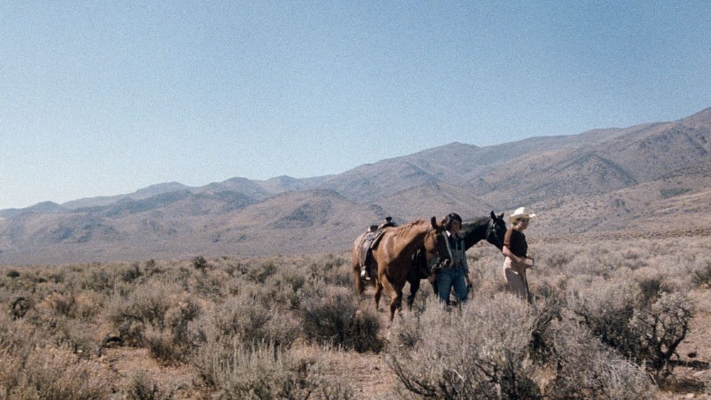 Desert Hearts Blu-ray movie collectible [Barcode 715515205917] - Main Image 3