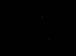 Evening Star (amazon), The