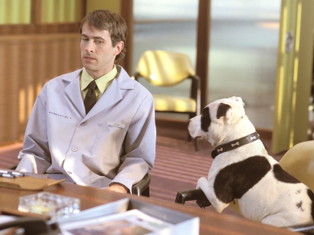 Stealing Harvard (DVD/UPC: 043396066847) DVD movie collectible [Barcode 043396066847] - Main Image 3