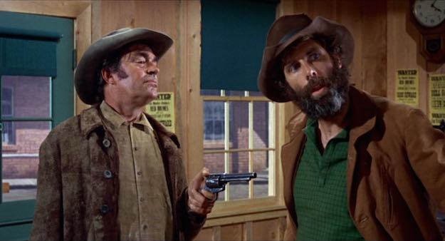 Support Your Local Sheriff DVD movie collectible [Barcode 027616854834] - Main Image 3