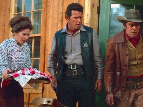 Support Your Local Sheriff DVD movie collectible [Barcode 027616854834] - Main Image 4