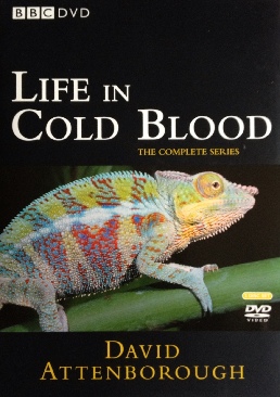 Classic TV Christmas Bob HopeDonny OsmondMarie Osmond Standard screen