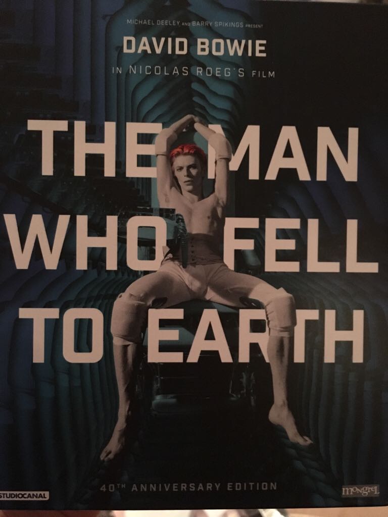 Kung Pow!: Enter the Fist