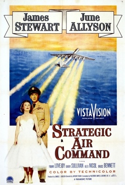 (002) Broadway Danny Rose