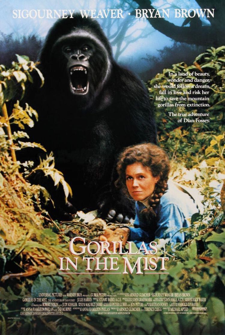 Gorillas In The Mist DVD movie collectible [Barcode 7321900118545] - Main Image 3