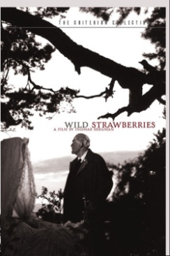 [Music] U2 - Rattle And Hum