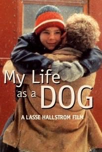 My Life As A Dog DVD movie collectible [Barcode 037429173527] - Main Image 4