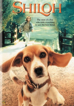 13 Conversations About One Thing