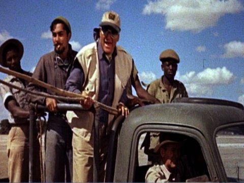 Hatari! DVD movie collectible [Barcode 883929303380] - Main Image 3