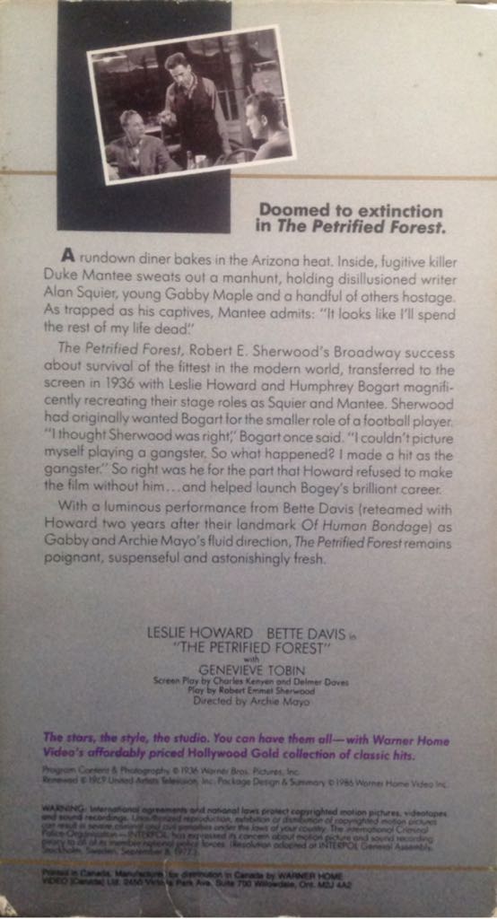 The Petrified Forest VHS movie collectible - Main Image 2