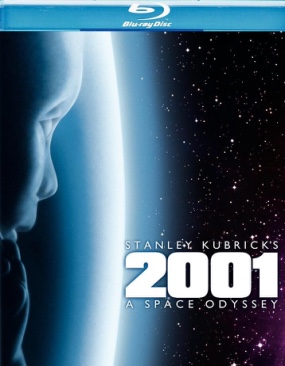 Please Dont Eat the Daisies