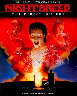 Brum: Stunt Bike Rescues and Other Stories